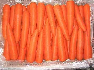 2014 High Quality Fresh Carrot
