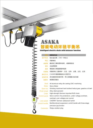 Factory Direct 300 KG Electric Hoist - Best Price Liftket Intelligent Electric Chain Hoist