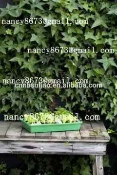 plastic tray for plants,garden plant tray