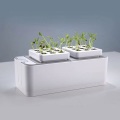 hydroponics automatik untuk tanaman