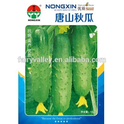 High Quality Chinese Cucumber Seeds For Planting-Tang Shan Autumn Cucumber