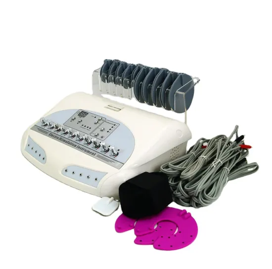 Electro Muscle Stimulator EMS Machine for Physical Therapy Equipment