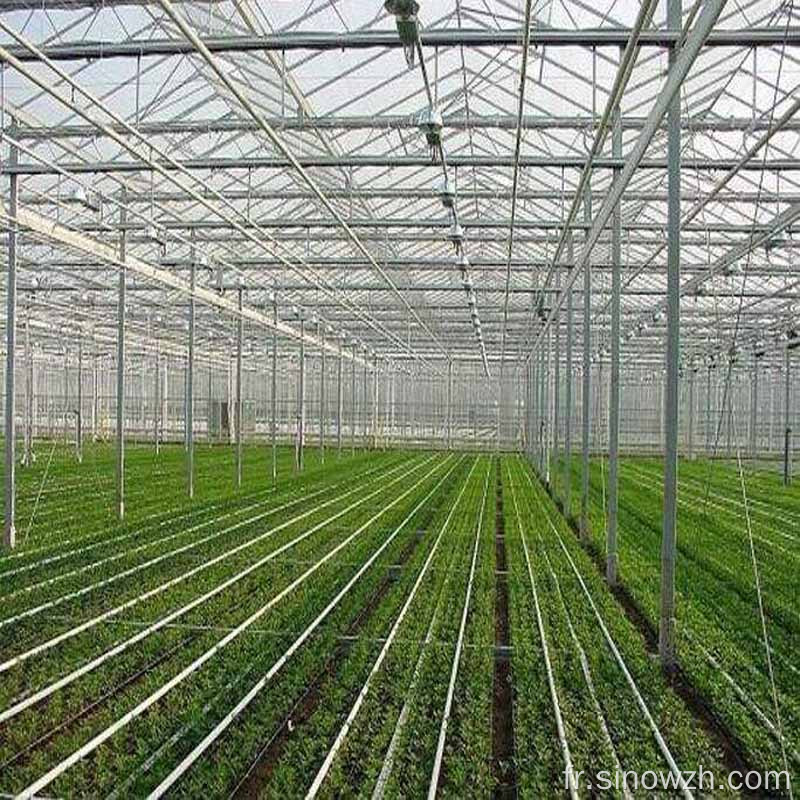 Conception agricole verre structure en acier à effet de serre