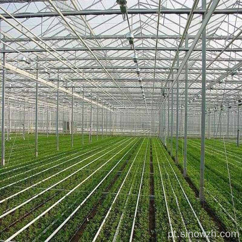 Design de estufa de estrutura de aço agrícola em aço