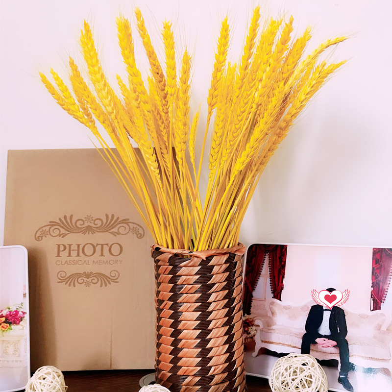 Real Grain Wheat Ears Natural Dried Flower Bedroom Living Room Kerst Decoration Bouquet Shooting Props Opening Barley Home Decor