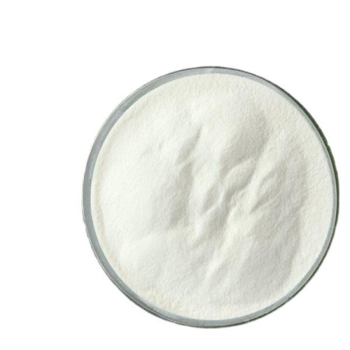 Lactobacillus Reuteri Powder for Gut Health