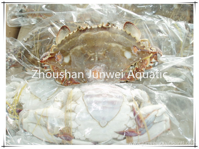 fresh frozen crab for sale