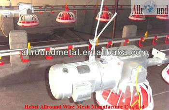 Pan Feeding System in Floor Breeding For Young Chicken/Baby Brids/Young Broiler  
