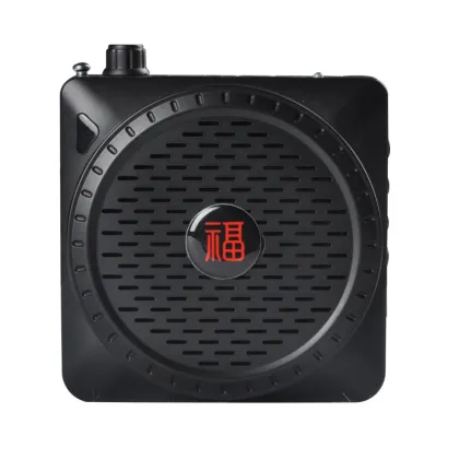 Portable mini loudspeaker