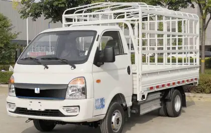 Farizon cheap high speed light electric truck coc