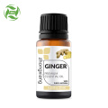 100% pure ginger essential oil for body care