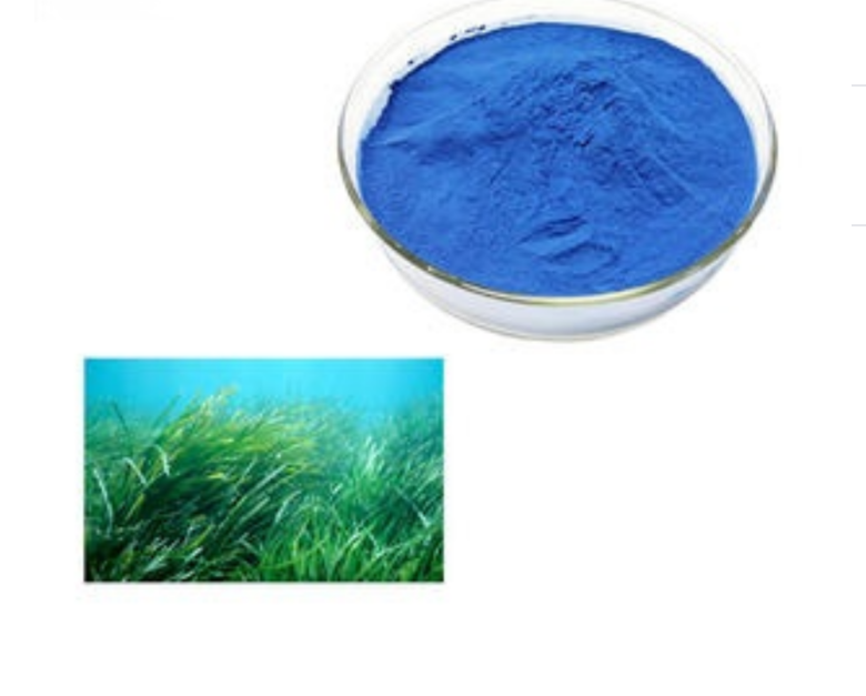 Phycocyanin Powder Png