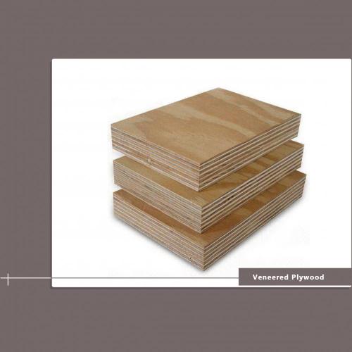1220 × 2440 mm Furniture Plywood 15 mm
