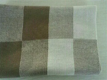 Men′s Warn Fur Scarf (FB-90515)