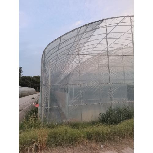 Dual Arch Double Film Single Shed