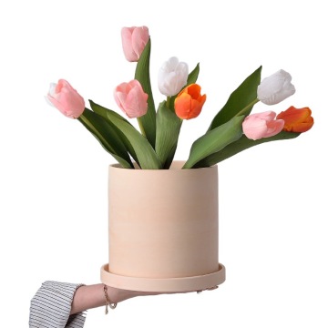 Bisque Unglazed Ceramic Flower Pot for Home Library and Garden Decoration