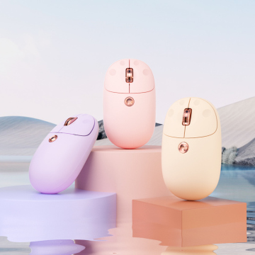 New Arrival BOW Dual Mode Optical USB/BT Rechargeable Silent Ergonomic Wireless Mouse