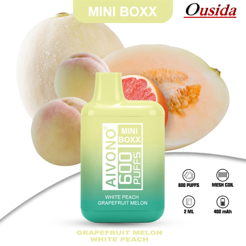 Mini Boxx يمكن التخلص من Vape Pod Device 600 Puffs