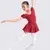 11524206 Children Ballet Dance Costume