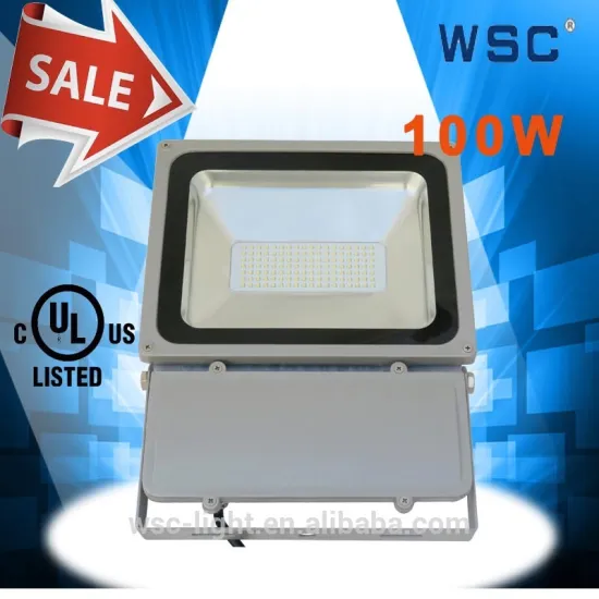 New Arrival 3030 Ultral Thin 12V Driverless 100W LED Flood Light Housing