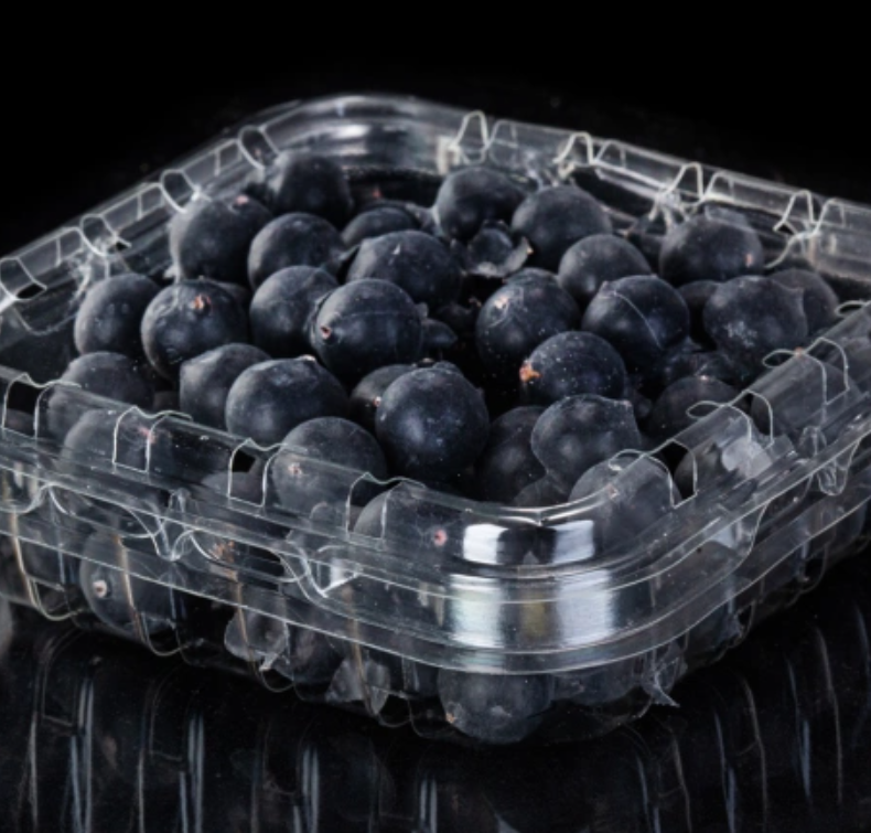 Recyclable blueberry plastic packaging box