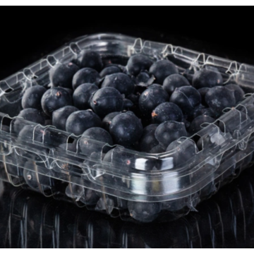 Recyclable blueberry plastic packaging box