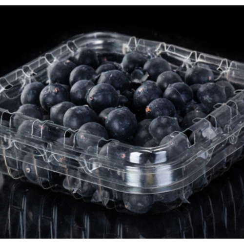 High quality transparent pla 125g blueberry clamshell