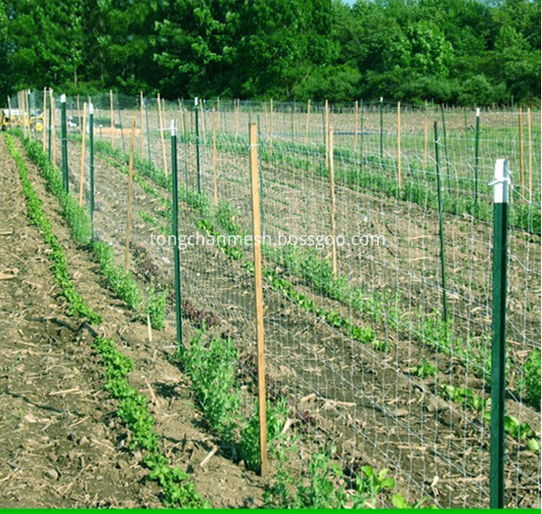 Plastic Farm Trellis Mesh