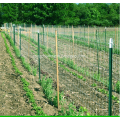 Malha plástica da treliça da exploração agrícola