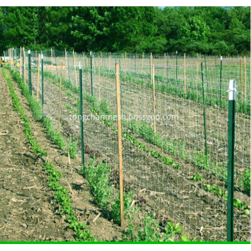 Malha plástica da treliça da exploração agrícola