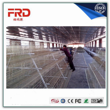 Trade assurance 100% payment guarantee factory supply plastic chicken cage with long working time