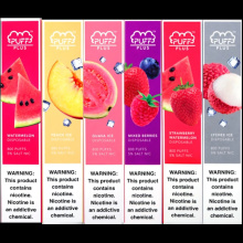 Puff Plus 800 Puffs Vape desechable precargado