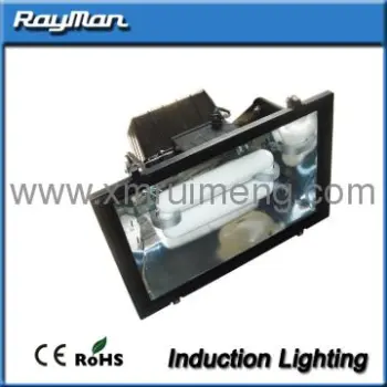 Outdoor portable 100w flood lights With Induction Lamp