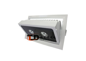 Ip65 20w 2000lm Cob Rgb Led Projector Lights For Outdoor