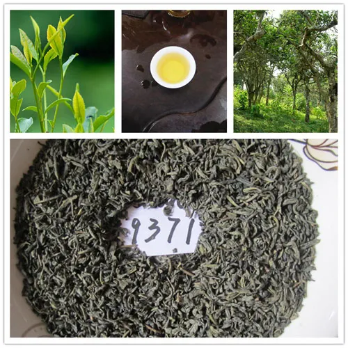 Hot sale chunmee green tea 9371