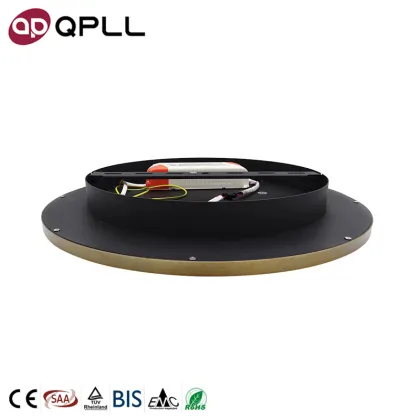 Chinese Brightness Dimmable Ceiling Lamp 48W Round LED Surface Mounted Light
