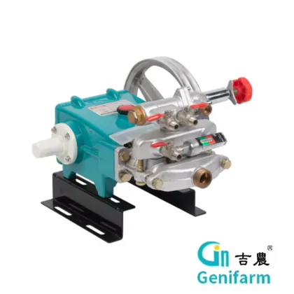 Mini Plunger Pump Sprayer