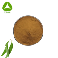 Quality Eucalyptus Globulus Leaf Extract Powder