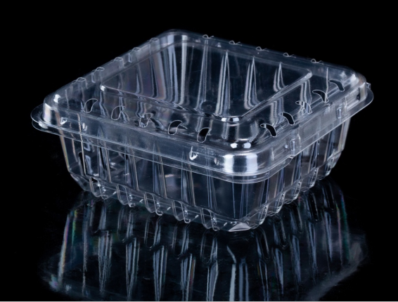 Blister Transparent Clamshell Fruit Box for Blueberry