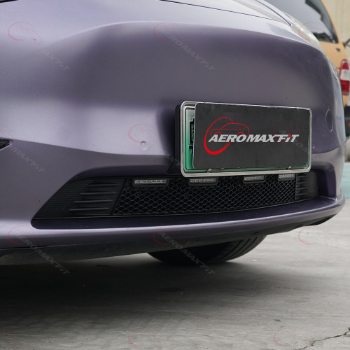 Tesla Model Y front grille insect net