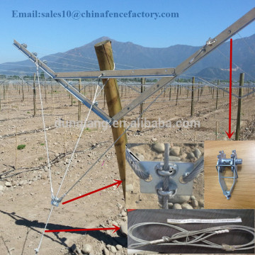 fruit garden metal Open gable trellis system