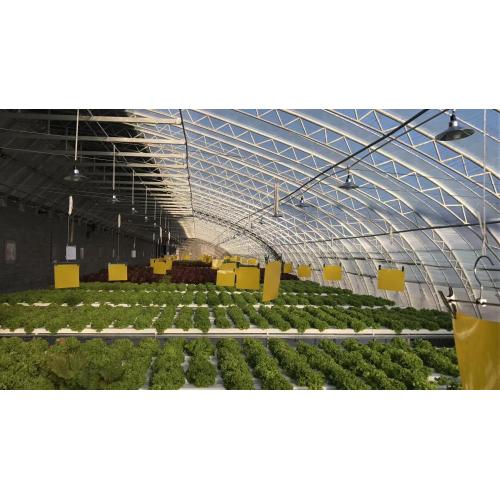 Environmental Nft Hydroponic Pipe For Vegetable