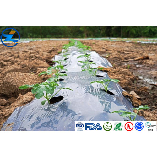 HDPE Pond Liners Rigid Transparent HDPE Films