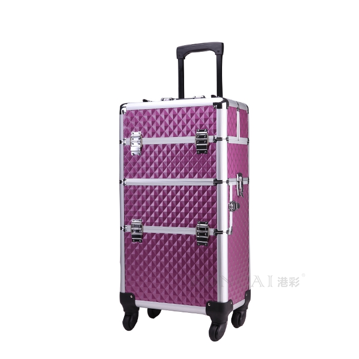 Makeup Cases Professional