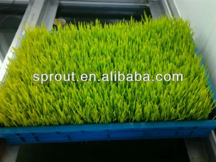 Farm Fodder-- Wheat/Barley/Bean Sprouting Machine