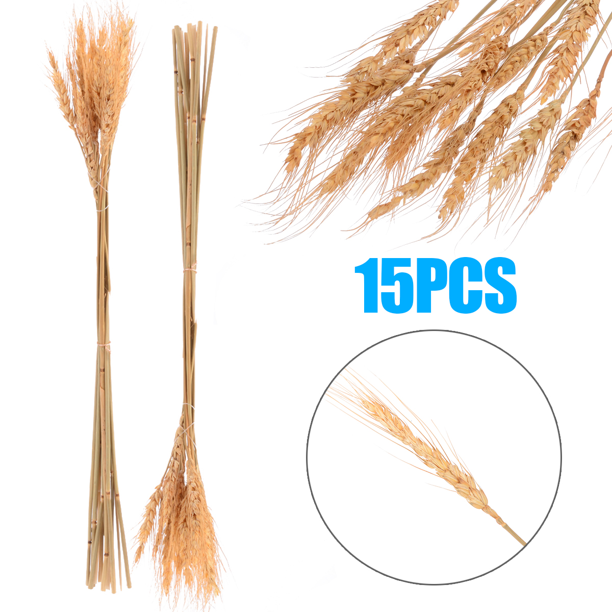 15 branches of Wheatear Natural Raw Color Dried Wheat Bouquet Photo Prop Wedding Decoration Supplies