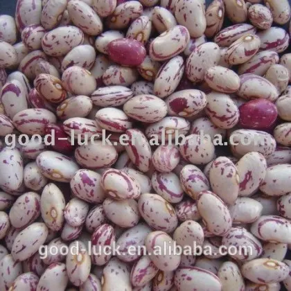 Speckled kidney beans