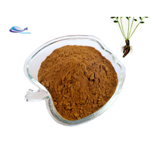 Supply 1%-10% Rhodiola Rosea Root Extract Powder