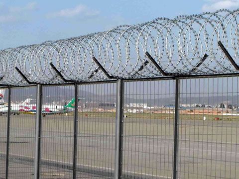 galvanized razor wire