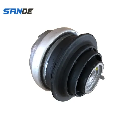 220 240 07 17 Auto Spare Parts - Engine Mounting for Mercedes W220